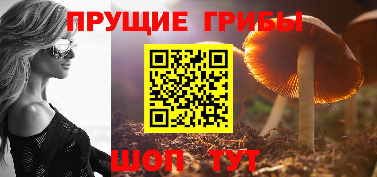 Куйбышев  Псилоцибиновые грибы Magic Shrooms  Вход с VPN 